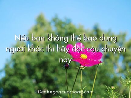 Nếu bạn không thể bao dung người khác thì hãy đọc câu chuyện này