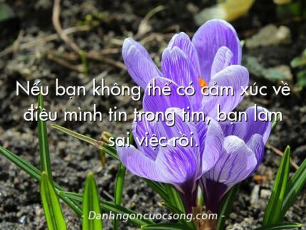 Nếu bạn không thể có cảm xúc về điều mình tin trong tim, bạn làm sai việc rồi.