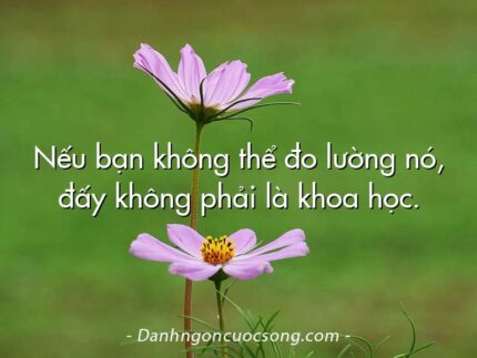 Nếu bạn không thể đo lường nó, đấy không phải là khoa học.