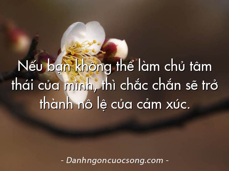 Nếu bạn không thể làm chủ tâm thái của mình, thì chắc chắn sẽ trở thành nô lệ của cảm xúc.