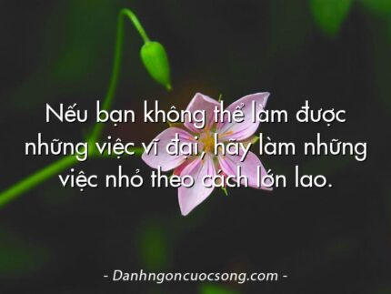 Nếu bạn không thể làm được những việc vĩ đại, hãy làm những việc nhỏ theo cách lớn lao.