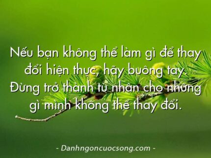 Nếu bạn không thể làm gì để thay đổi hiện thực, hãy buông tay. Đừng trở thành tù nhân cho những gì mình không thể thay đổi.