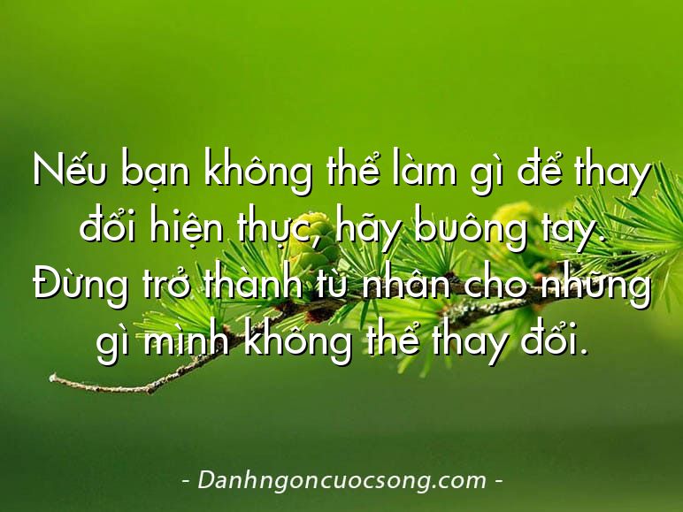 Nếu bạn không thể làm gì để thay đổi hiện thực, hãy buông tay. Đừng trở thành tù nhân cho những gì mình không thể thay đổi.