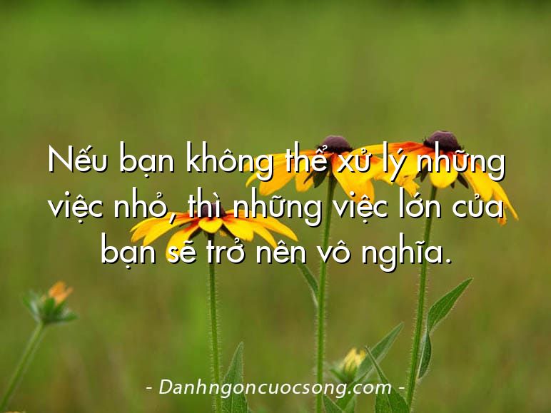 Nếu bạn không thể xử lý những việc nhỏ, thì những việc lớn của bạn sẽ trở nên vô nghĩa.