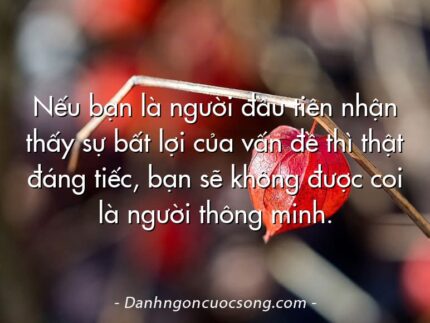 Nếu bạn là người đầu tiên nhận thấy sự bất lợi của vấn đề thì thật đáng tiếc, bạn sẽ không được coi là người thông minh.