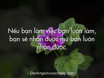 Nếu bạn làm việc bạn luôn làm, bạn sẽ nhận được thứ bạn luôn nhận được.