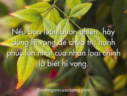 Nếu bạn luôn buồn phiền, hãy dùng hi vọng để chữa trị; hạnh phúc lớn nhất của nhân loại chính là biết hi vọng.