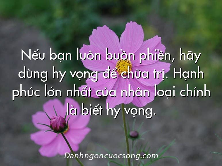 Nếu bạn luôn buồn phiền, hãy dùng hy vọng để chữa trị. Hạnh phúc lớn nhất của nhân loại chính là biết hy vọng.