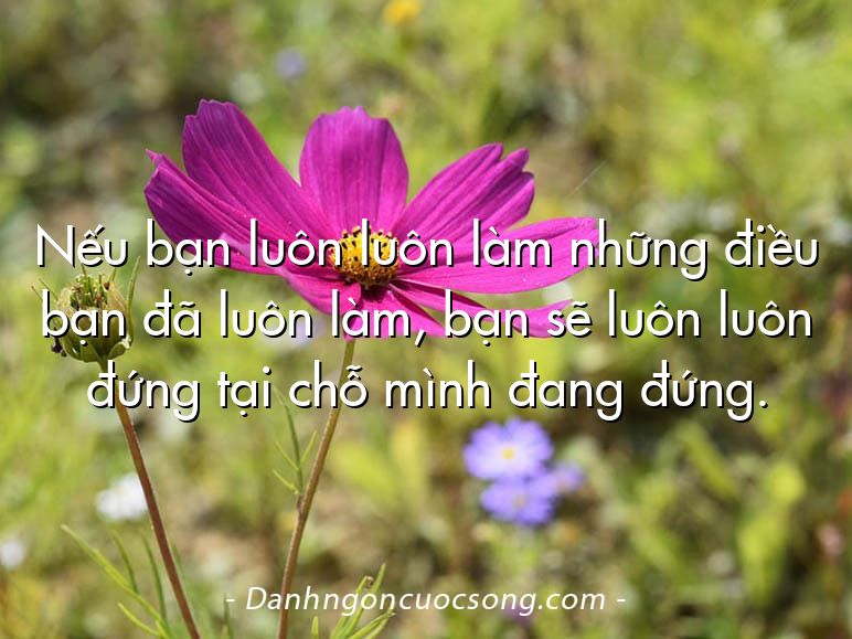 Nếu bạn luôn luôn làm những điều bạn đã luôn làm, bạn sẽ luôn luôn đứng tại chỗ mình đang đứng.