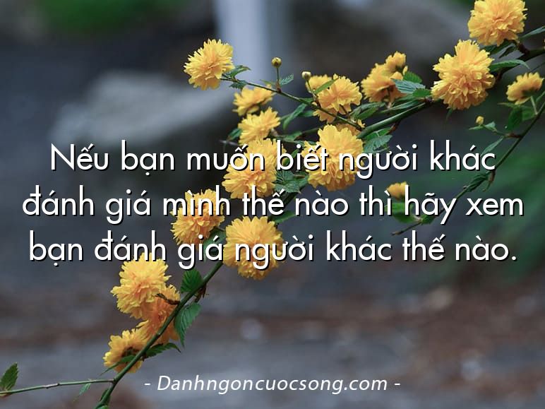 Nếu bạn muốn biết người khác đánh giá mình thế nào thì hãy xem bạn đánh giá người khác thế nào.