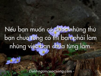 Nếu bạn muốn có được những thứ bạn chưa từng có thì bạn phải làm những việc bạn chưa từng làm.