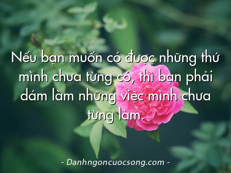 Nếu bạn muốn có được những thứ mình chưa từng có, thì bạn phải dám làm những việc mình chưa từng làm.