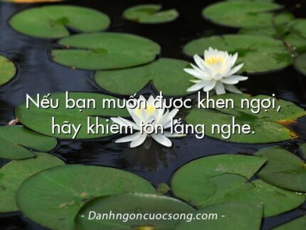 Nếu bạn muốn được khen ngợi, hãy khiêm tốn lắng nghe.