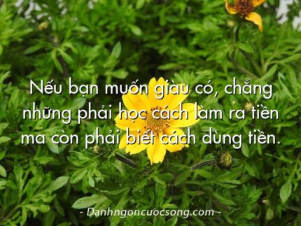 Nếu bạn muốn giàu có, chẳng những phải học cách làm ra tiền ma còn phải biết cách dùng tiền.