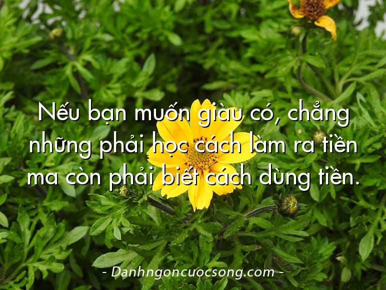 Nếu bạn muốn giàu có, chẳng những phải học cách làm ra tiền ma còn phải biết cách dùng tiền.