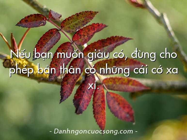 Nếu bạn muốn giàu có, đừng cho phép bản thân có những cái cớ xa xỉ.