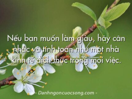 Nếu bạn muốn làm giàu, hãy cân nhắc và tính toán như một nhà kinh tế đích thực trong mọi việc.