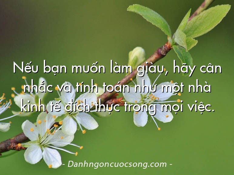 Nếu bạn muốn làm giàu, hãy cân nhắc và tính toán như một nhà kinh tế đích thực trong mọi việc.