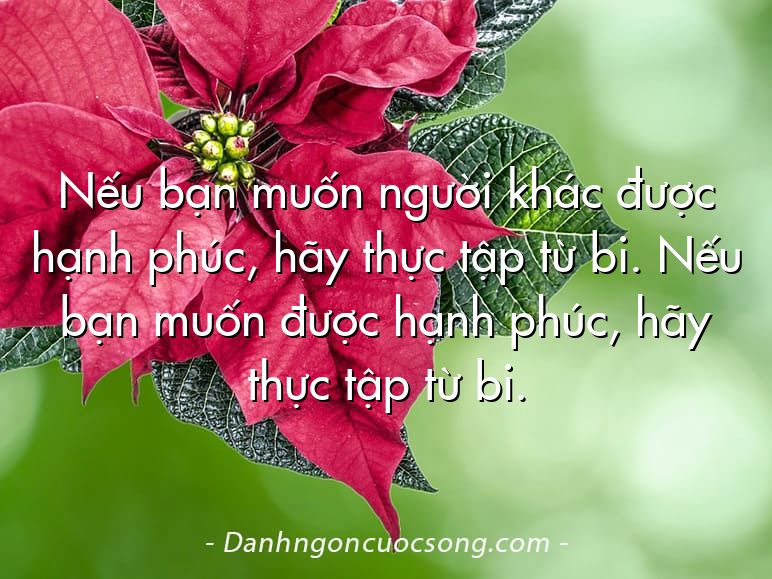 Nếu bạn muốn người khác được hạnh phúc, hãy thực tập từ bi. Nếu bạn muốn được hạnh phúc, hãy thực tập từ bi.