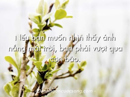 Nếu bạn muốn nhìn thấy ánh nắng mặt trời, bạn phải vượt qua cơn bão.