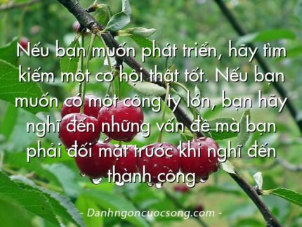 Nếu bạn muốn phát triển, hãy tìm kiếm một cơ hội thật tốt. Nếu bạn muốn có một công ty lớn, bạn hãy nghĩ đến những vấn đề mà bạn phải đối mặt trước khi nghĩ đến thành công