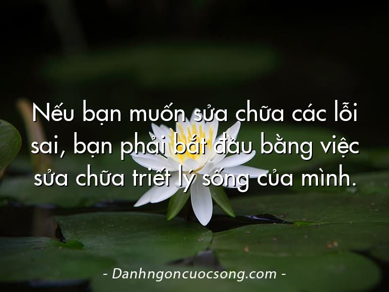 Nếu bạn muốn sửa chữa các lỗi sai, bạn phải bắt đầu bằng việc sửa chữa triết lý sống của mình.