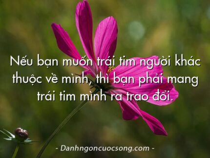 Nếu bạn muốn trái tim người khác thuộc về mình, thì bạn phải mang trái tim mình ra trao đổi.