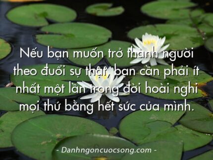 Nếu bạn muốn trở thành người theo đuổi sự thật, bạn cần phải ít nhất một lần trong đời hoài nghi mọi thứ bằng hết sức của mình.