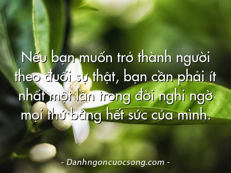Nếu bạn muốn trở thành người theo đuổi sự thật, bạn cần phải ít nhất một lần trong đời nghi ngờ mọi thứ bằng hết sức của mình.