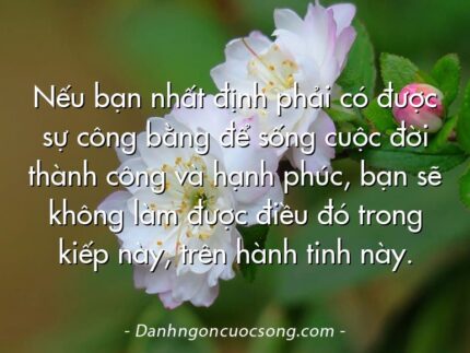 Nếu bạn nhất định phải có được sự công bằng để sống cuộc đời thành công và hạnh phúc, bạn sẽ không làm được điều đó trong kiếp này, trên hành tinh này.