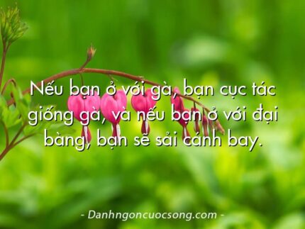 Nếu bạn ở với gà, bạn cục tác giống gà, và nếu bạn ở với đại bàng, bạn sẽ sải cánh bay.