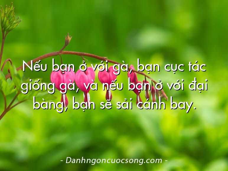 Nếu bạn ở với gà, bạn cục tác giống gà, và nếu bạn ở với đại bàng, bạn sẽ sải cánh bay.