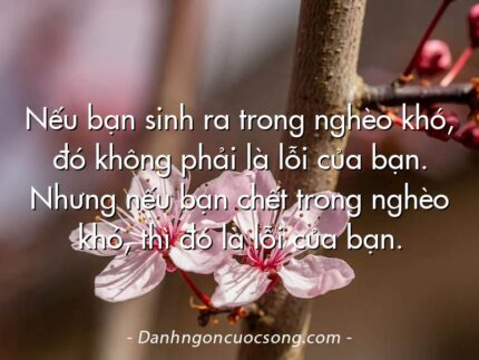 Nếu bạn sinh ra trong nghèo khó, đó không phải là lỗi của bạn. Nhưng nếu bạn chết trong nghèo khó, thì đó là lỗi của bạn.