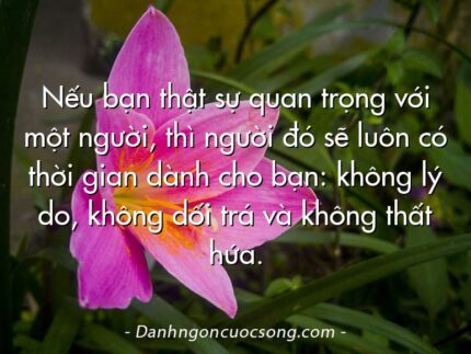 Nếu bạn thật sự quan trọng với một người, thì người đó sẽ luôn có thời gian dành cho bạn: không lý do, không dối trá và không thất hứa.