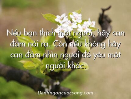 Nếu bạn thích một người, hãy can đảm nói ra. Còn nếu không hãy can đảm nhìn người đó yêu một người khác.