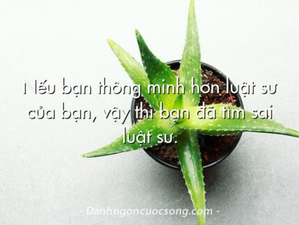 Nếu bạn thông minh hơn luật sư của bạn, vậy thì bạn đã tìm sai luật sư.