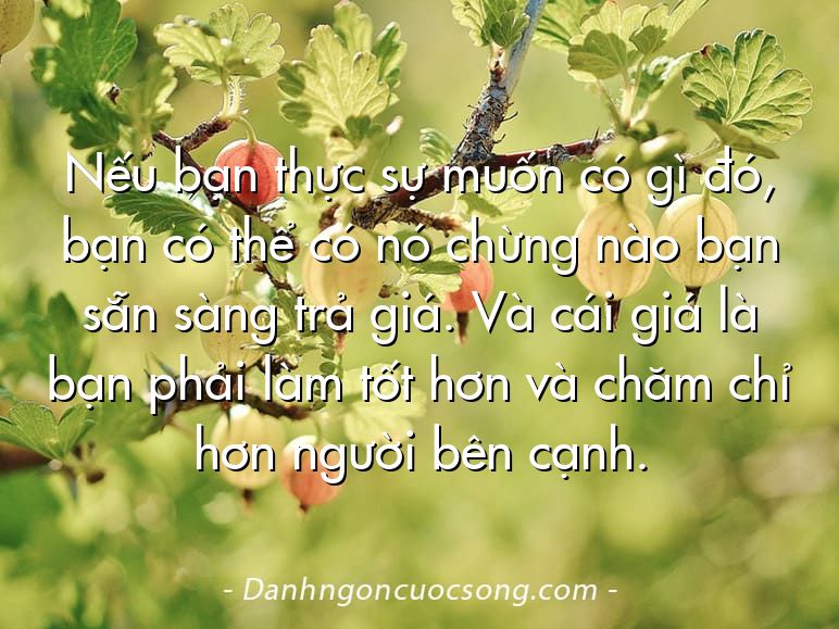 Nếu bạn thực sự muốn có gì đó, bạn có thể có nó chừng nào bạn sẵn sàng trả giá. Và cái giá là bạn phải làm tốt hơn và chăm chỉ hơn người bên cạnh.