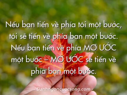Nếu bạn tiến về phía tôi một bước, tôi sẽ tiến về phía bạn một bước. Nếu bạn tiến về phía MƠ ƯỚC một bước – MƠ ƯỚC sẽ tiến về phía bạn một bước.