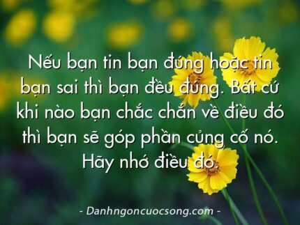 Nếu bạn tin bạn đúng hoặc tin bạn sai thì bạn đều đúng. Bất cứ khi nào bạn chắc chắn về điều đó thì bạn sẽ góp phần củng cố nó. Hãy nhớ điều đó.