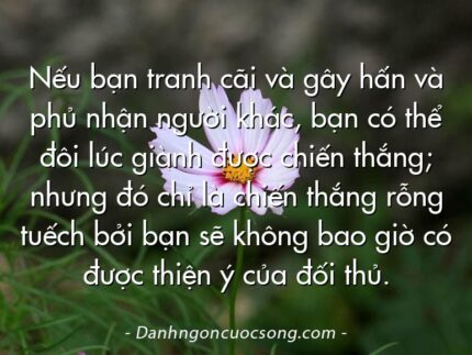Nếu bạn tranh cãi và gây hấn và phủ nhận người khác, bạn có thể đôi lúc giành được chiến thắng; nhưng đó chỉ là chiến thắng rỗng tuếch bởi bạn sẽ không bao giờ có được thiện ý của đối thủ.