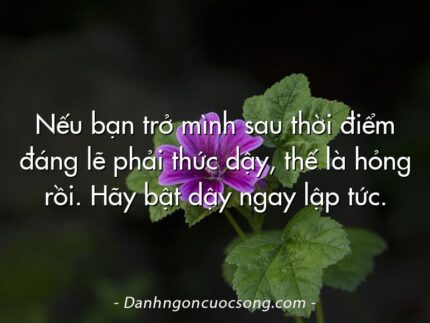 Nếu bạn trở mình sau thời điểm đáng lẽ phải thức dậy, thế là hỏng rồi. Hãy bật dậy ngay lập tức.