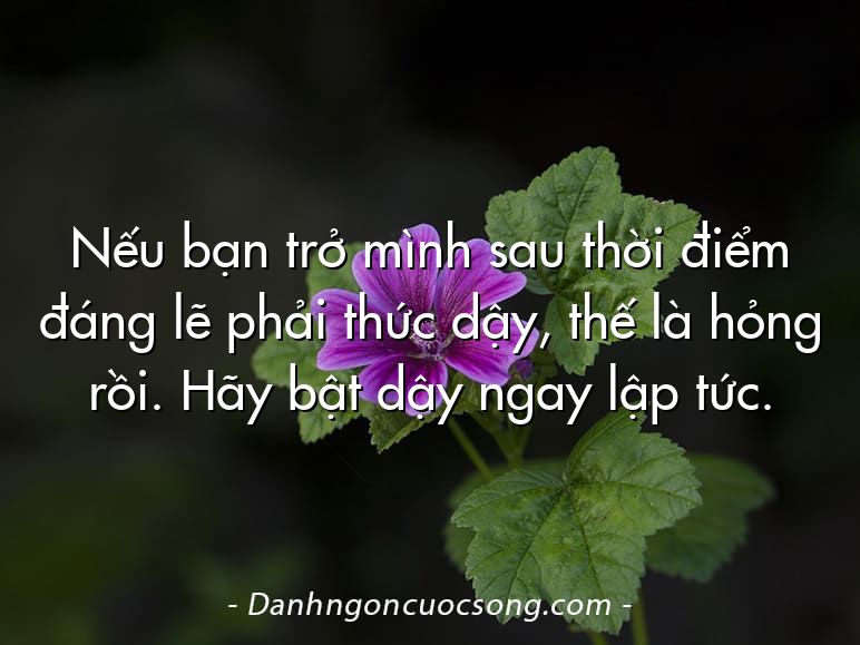 Nếu bạn trở mình sau thời điểm đáng lẽ phải thức dậy, thế là hỏng rồi. Hãy bật dậy ngay lập tức.