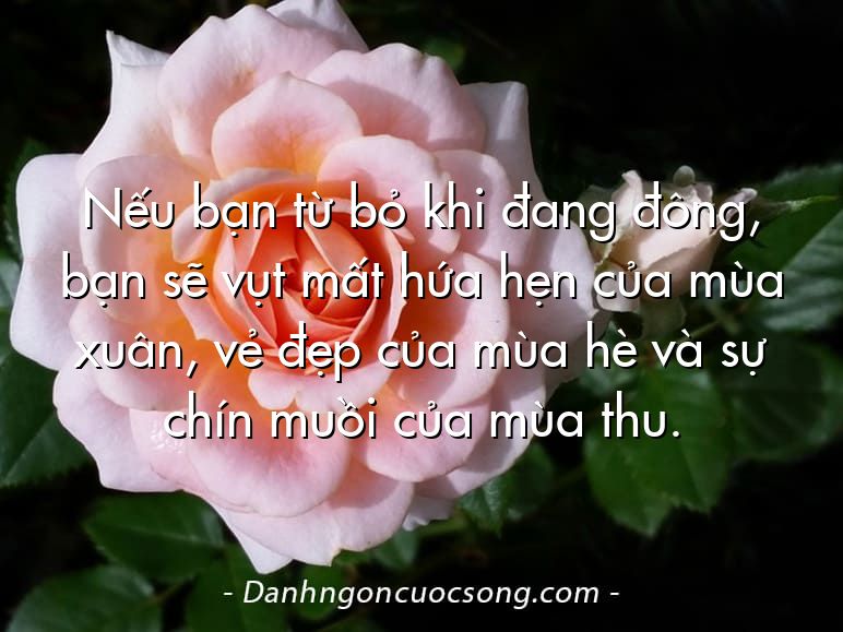 Nếu bạn từ bỏ khi đang đông, bạn sẽ vụt mất hứa hẹn của mùa xuân, vẻ đẹp của mùa hè và sự chín muồi của mùa thu.