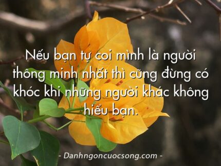 Nếu bạn tự coi mình là người thông minh nhất thì cũng đừng có khóc khi những người khác không hiểu bạn.