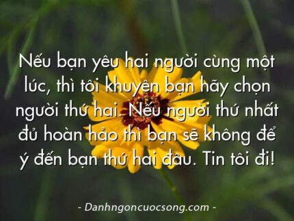 Nếu bạn yêu hai người cùng một lúc, thì tôi khuyên bạn hãy chọn người thứ hai. Nếu người thứ nhất đủ hoàn hảo thì bạn sẽ không để ý đến bạn thứ hai đâu. Tin tôi đi!