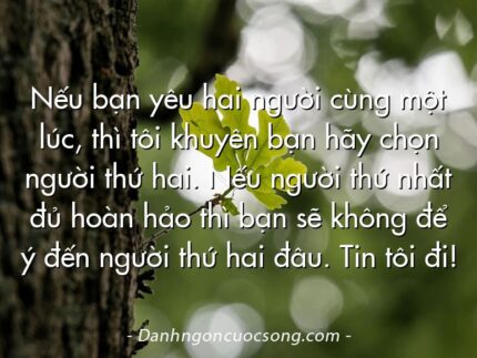 Nếu bạn yêu hai người cùng một lúc, thì tôi khuyên bạn hãy chọn người thứ hai. Nếu người thứ nhất đủ hoàn hảo thì bạn sẽ không để ý đến người thứ hai đâu. Tin tôi đi!