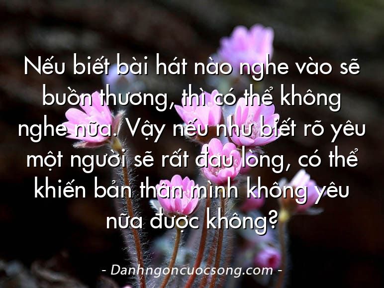 Nếu biết bài hát nào nghe vào sẽ buồn thương, thì có thể không nghe nữa. Vậy nếu như biết rõ yêu một người sẽ rất đau lòng, có thể khiến bản thân mình không yêu nữa được không?
