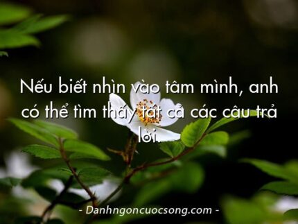 Nếu biết nhìn vào tâm mình, anh có thể tìm thấy tất cả các câu trả lời.
