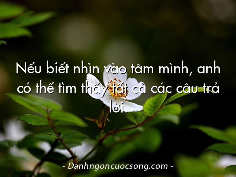Nếu biết nhìn vào tâm mình, anh có thể tìm thấy tất cả các câu trả lời.