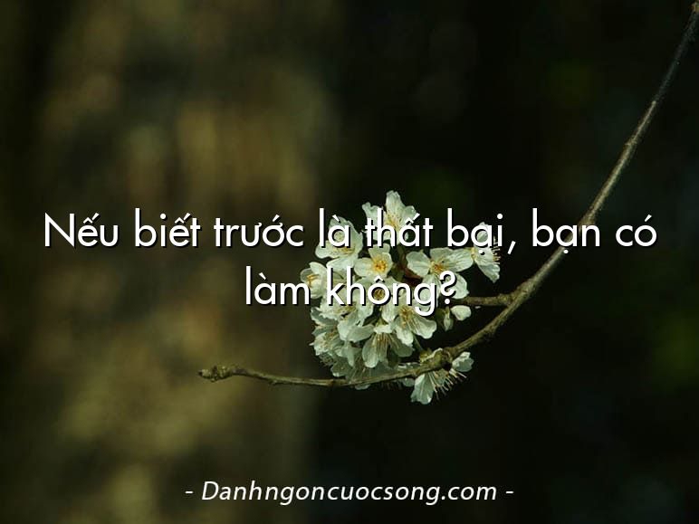 Nếu biết trước là thất bại, bạn có làm không?